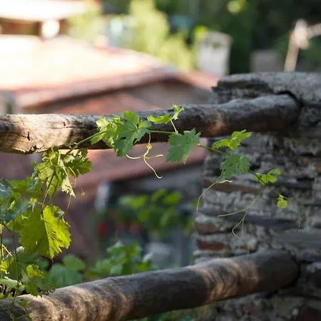 Διαμέρισμα Charming In - 28 M²