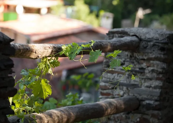 Διαμέρισμα Charming In - 28 M²